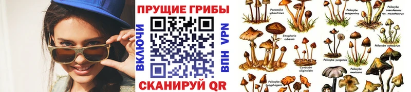 Галлюциногенные грибы ЛСД Пикалёво